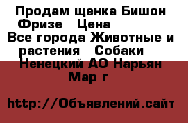 Продам щенка Бишон Фризе › Цена ­ 30 000 - Все города Животные и растения » Собаки   . Ненецкий АО,Нарьян-Мар г.